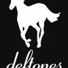 Deftones White Pony Hoodie
