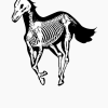 Deftones Horse Skull Hoodie